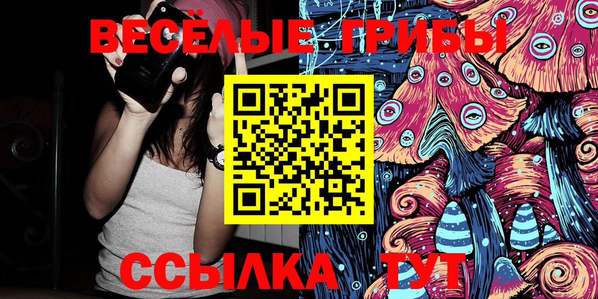 Псилоцибиновые грибы GOLDEN TEACHER  Вход с VPN  Новороссийск 